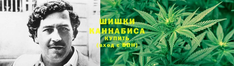 где продают наркотики  Галич  Бошки марихуана Amnesia 